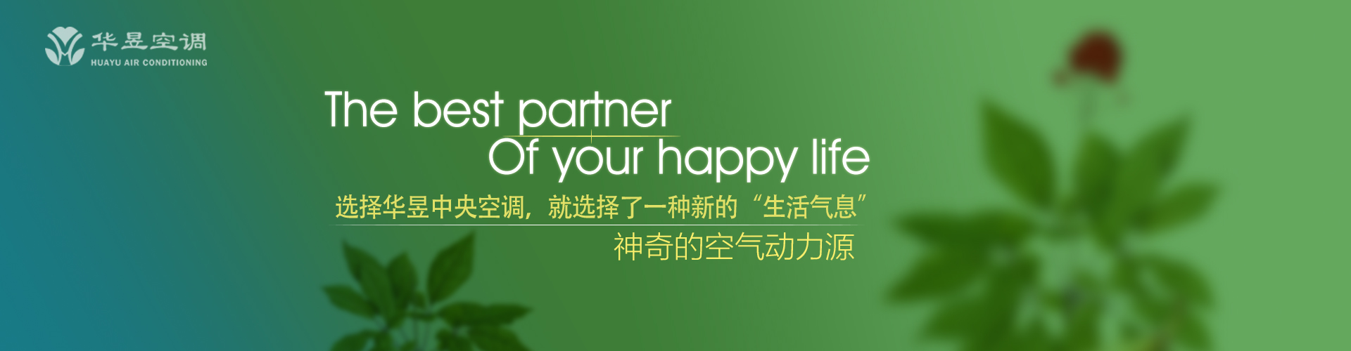 一着不慎网